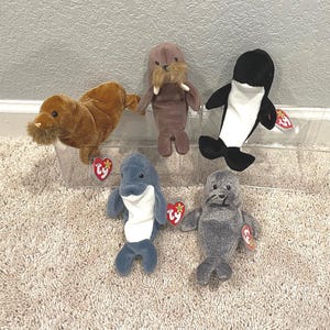 Ty Beanie Babies - Water Creatures - Walrus, Whales, Dolphins, Seals - Jolly, Paul, Waves, Echo, Slippery (Your Choice)