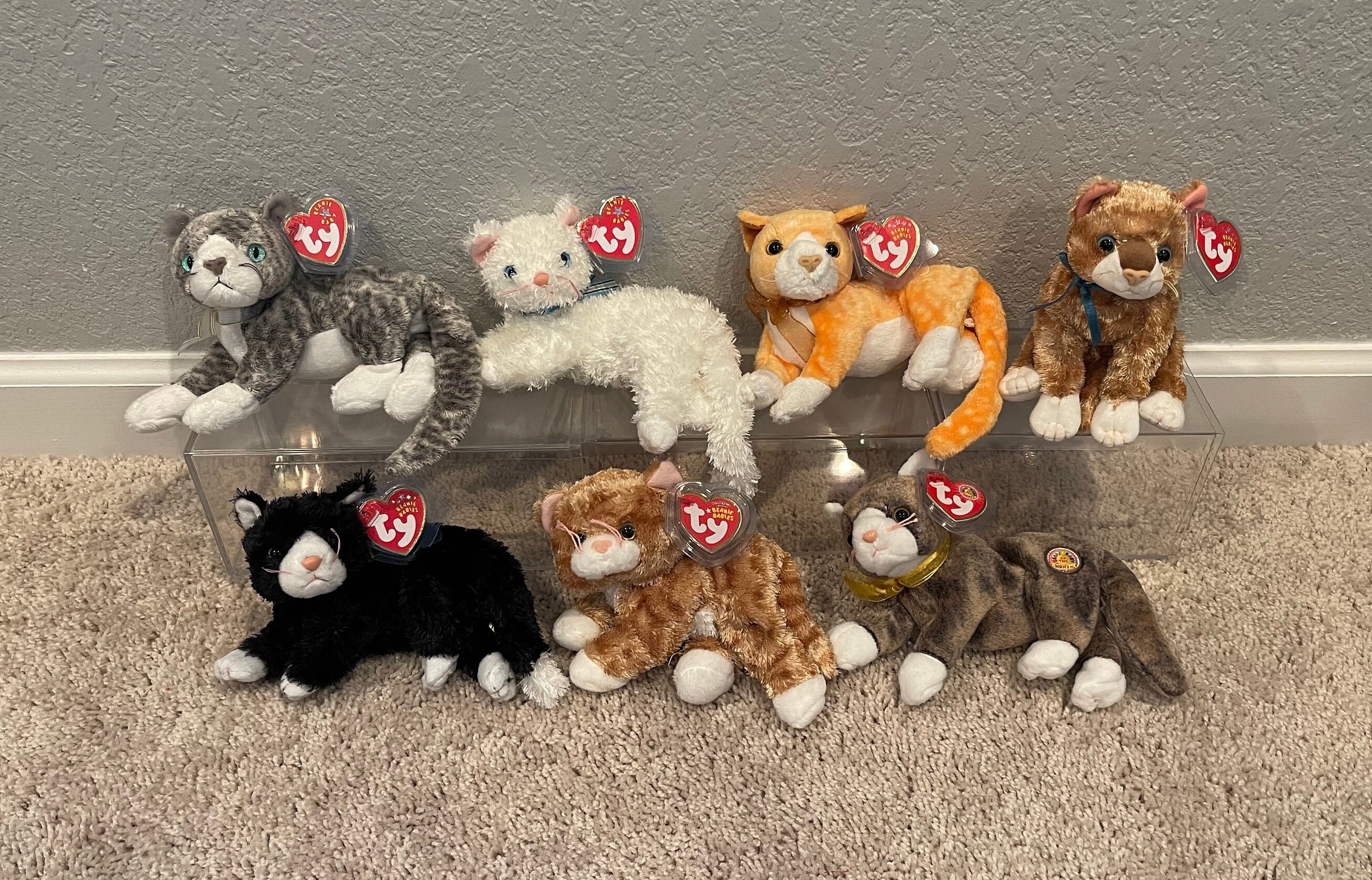 Ty Beanie Babies - Cats - Cappuccino, Tabs, Starlett, Mattie, Purr
