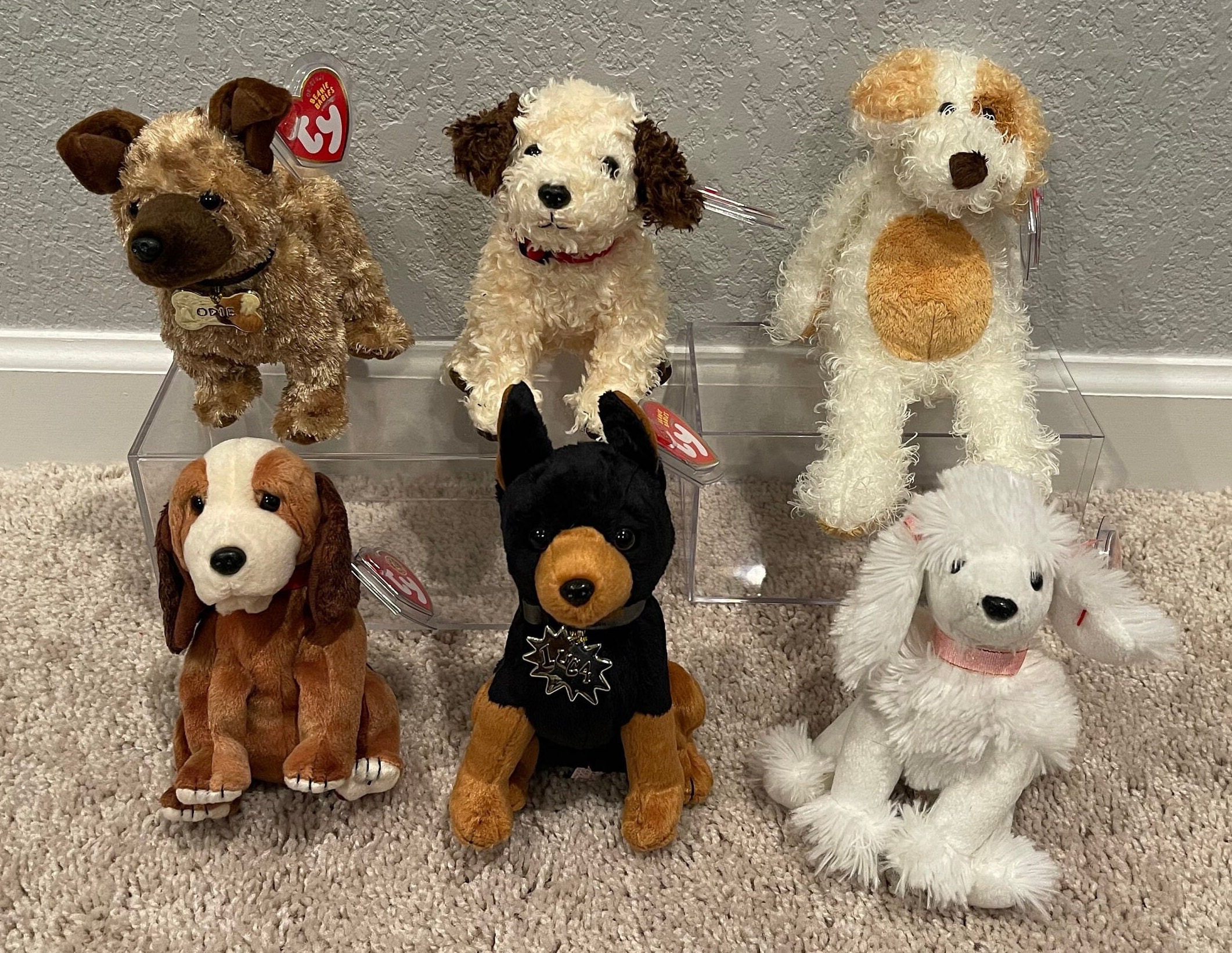 Ty Beanie Babies Dogs Odie garfield Sneakers Holmes L amore Luca Diggs your Choice RARE EXCLUSIVE Etsy