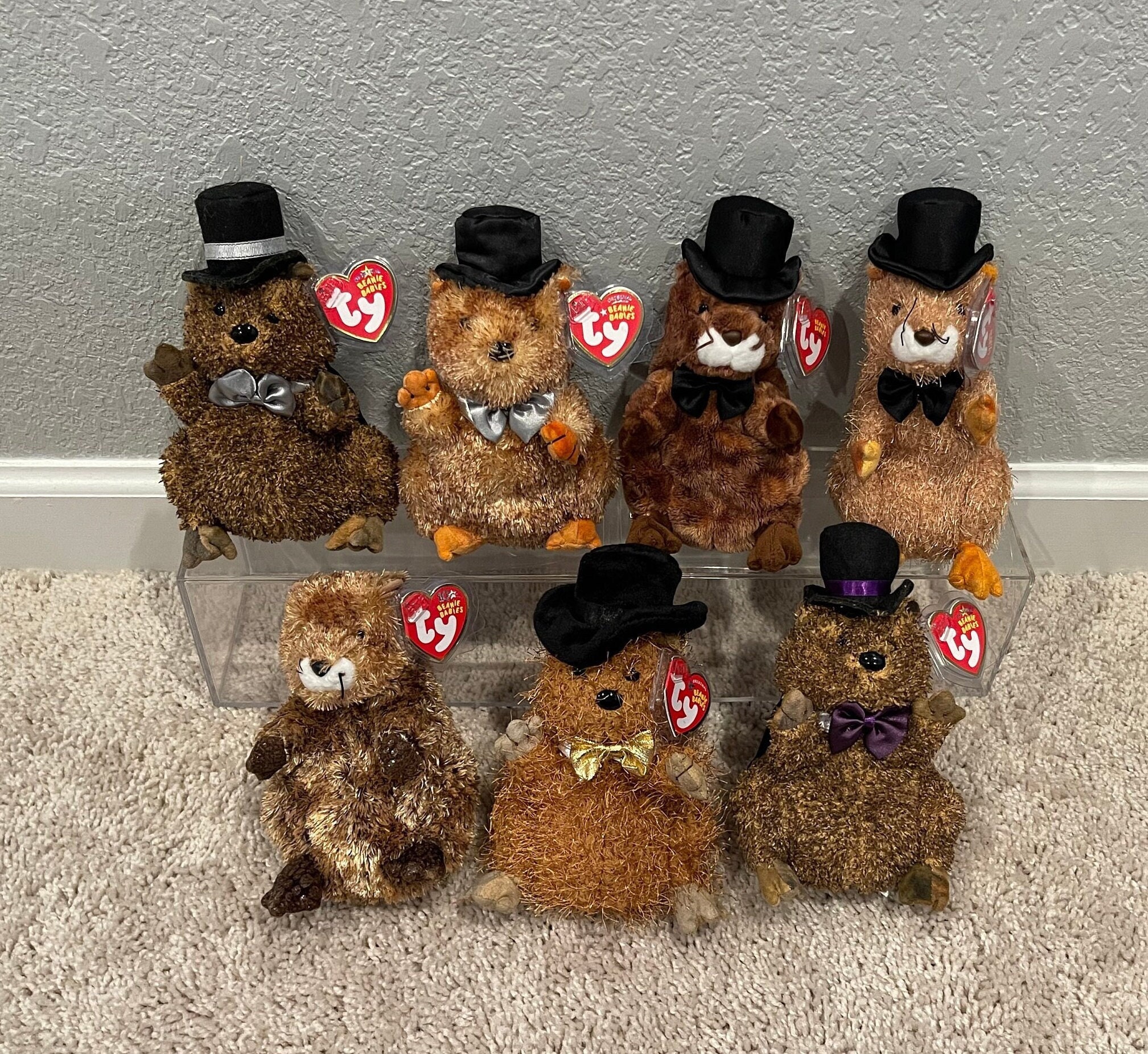 Ty Beanie Babies - Punxsutawney Phil - Groundhog's Day (your Choice) - Etsy