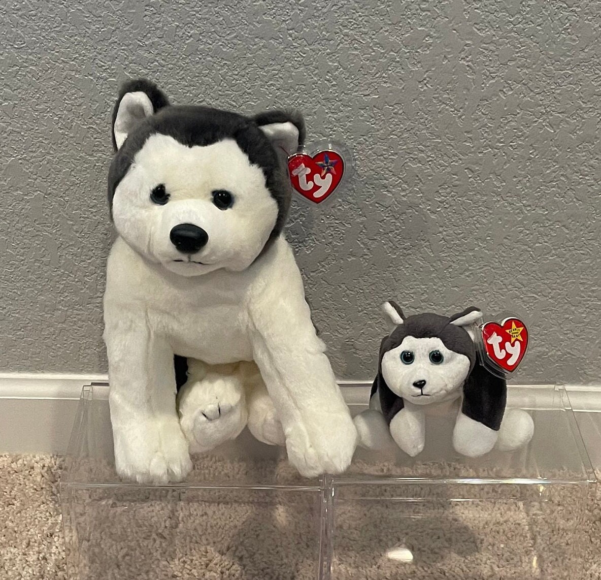Ty 2025 husky large