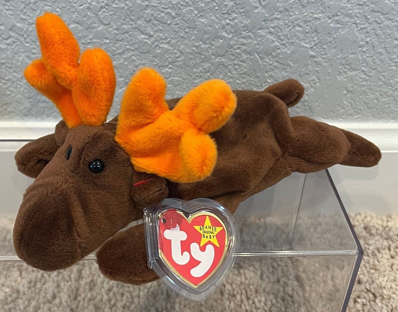 Ty Beanie Babies - Moose - Zeus and Chocolate (your Choice) - Etsy