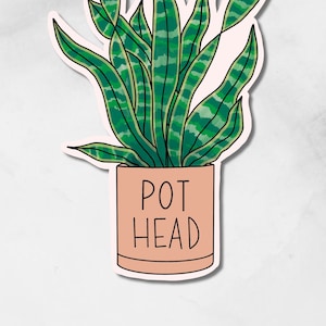 May include: A sticker of a potted snake plant with green and white striped leaves. The pot is pink and has the text "POT HEAD" written on it.