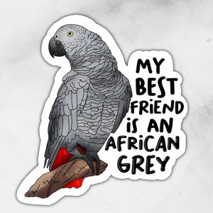 African Grey Parrot | Sticker