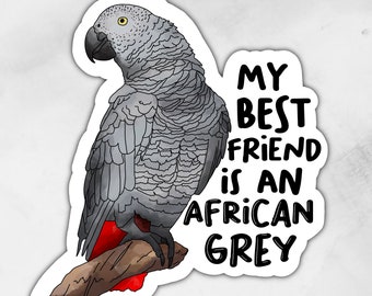 African Grey Parrot | Sticker