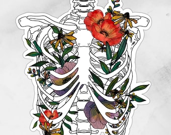 Ribs | Sticker