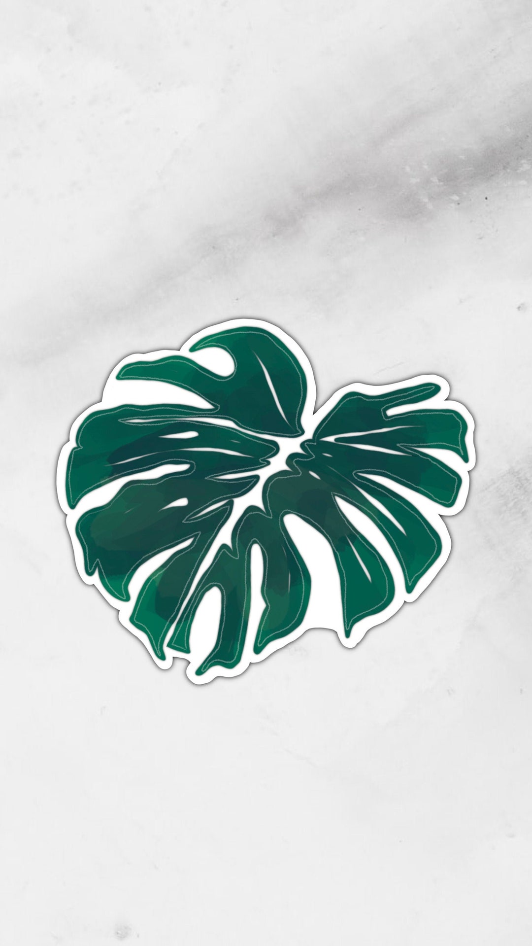 Monstera | Sticker - Etsy