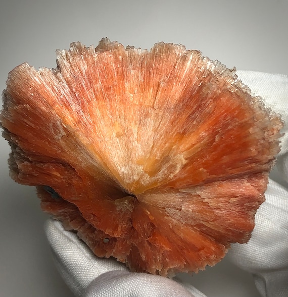 RARE Fire Orange Scolecite Sun Flower Crystal Spray from Chandanapuri, Sangamner, Ahmednagar District, Nashik Division, Maharashtra, India