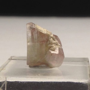Fully Terminated Pink Tourmaline Crystal Cluster Bicolor Gemmy Cotton Candy light Rubellite Color & White / Clear - Paprok Afghanistan Gem