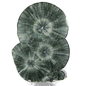GORGEOUS Seraphinite (Clinochlore) Polished Triple Stalactite Slice Specimen -- Amazing formation, gorgeous sprays! See video!
