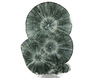 GORGEOUS Seraphinite (Clinochlore) Polished Triple Stalactite Slice Specimen -- Amazing formation, gorgeous sprays! See video!