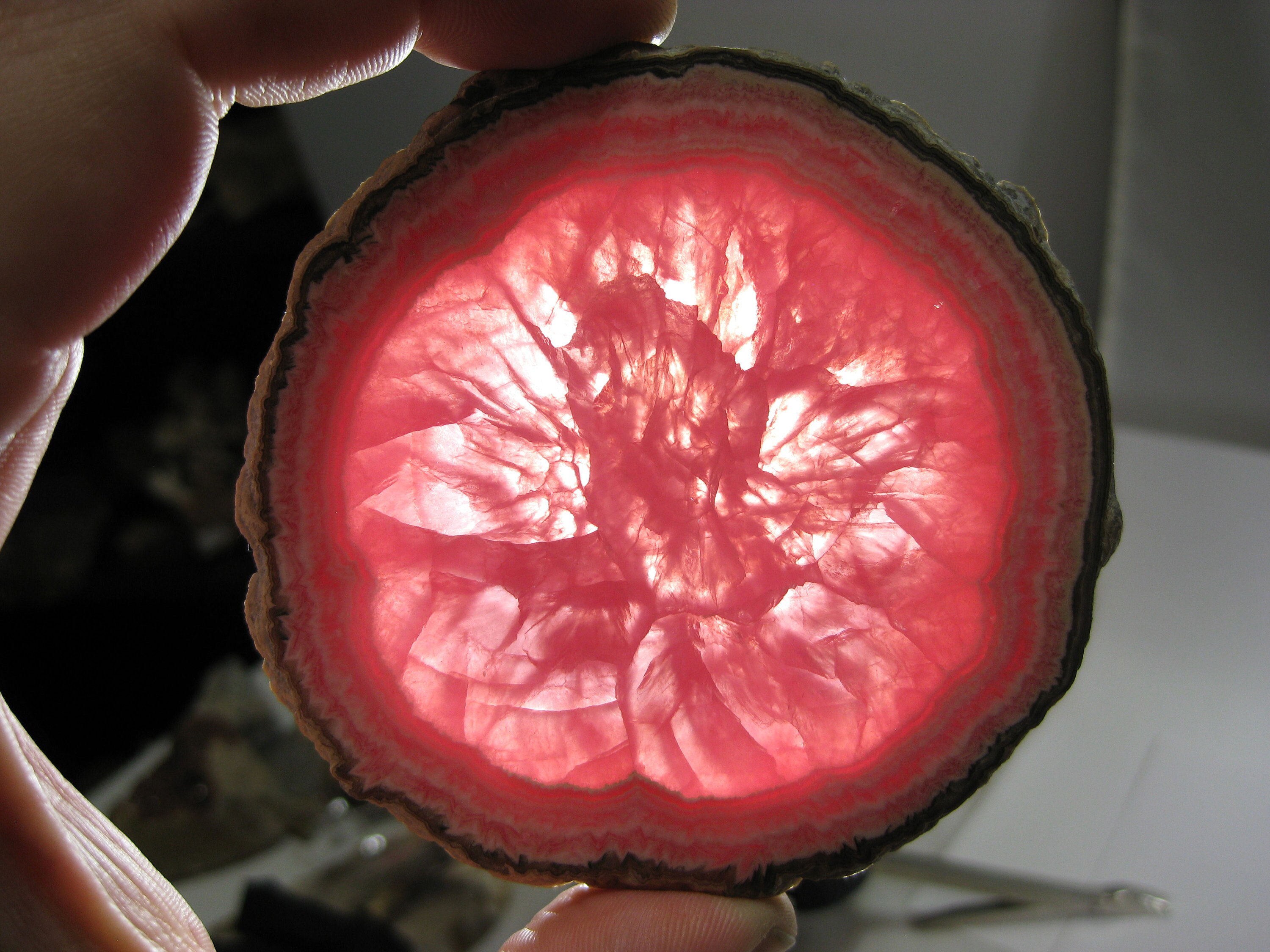 自家製 Rhodochrosite Genuine ハーフパン VIBRANT Top Quality Rhodochrosite Stalactite Slice Specimen
