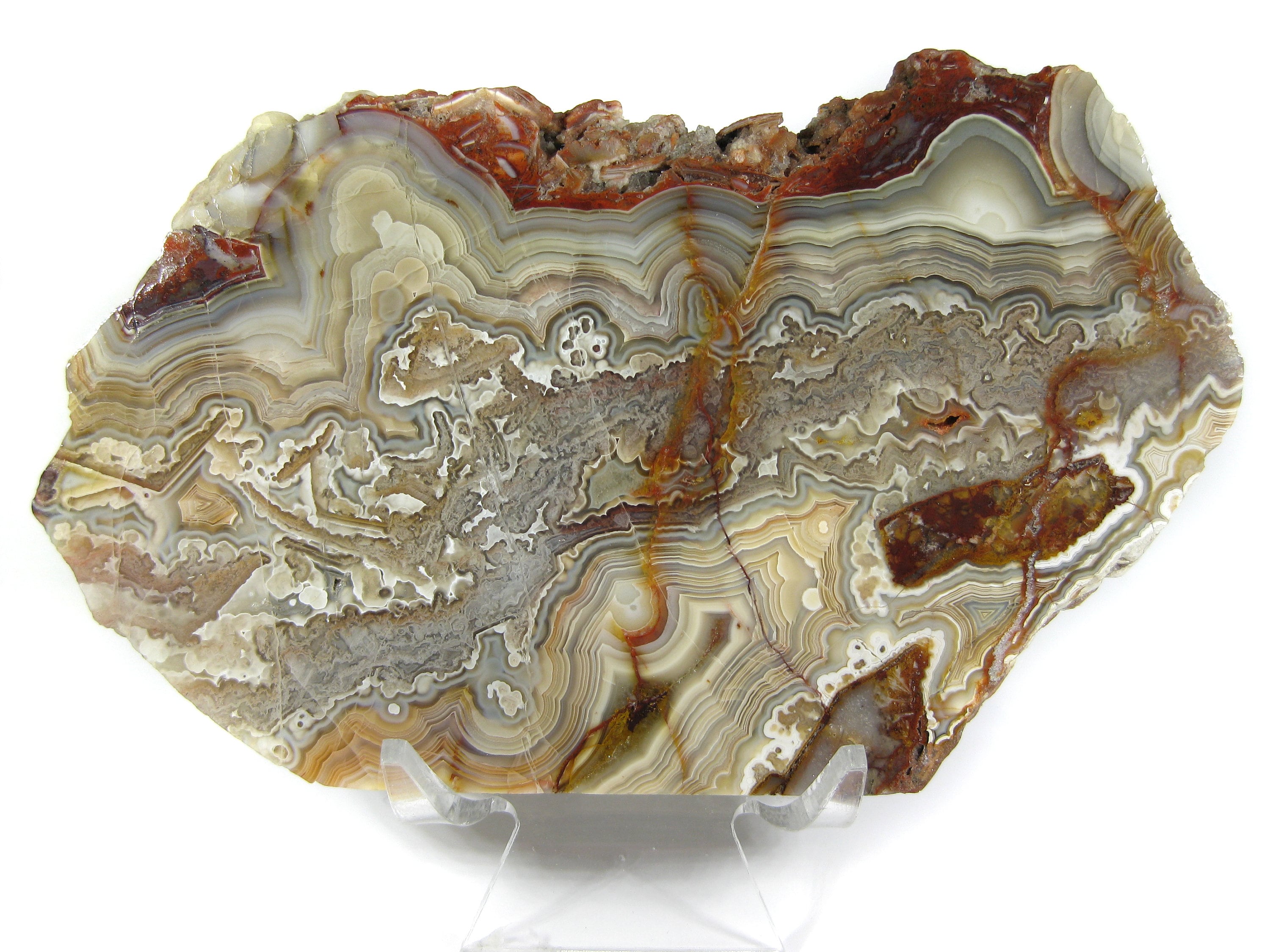 Face Polished Mexican Crazy Lace Agate Slab/specimen (D