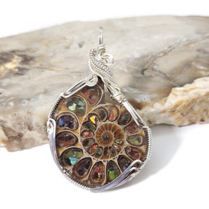 May include: A wire-wrapped pendant featuring a polished ammonite fossil. The fossil displays a spiral pattern with iridescent colors of green, red, and yellow. The silver-colored wire is intricately woven around the fossil, creating a unique jewelry piece.