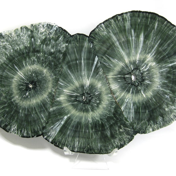 GORGEOUS Russian Seraphinite (Clinochlore) Polished Triple Stalactite Slice Specimen
