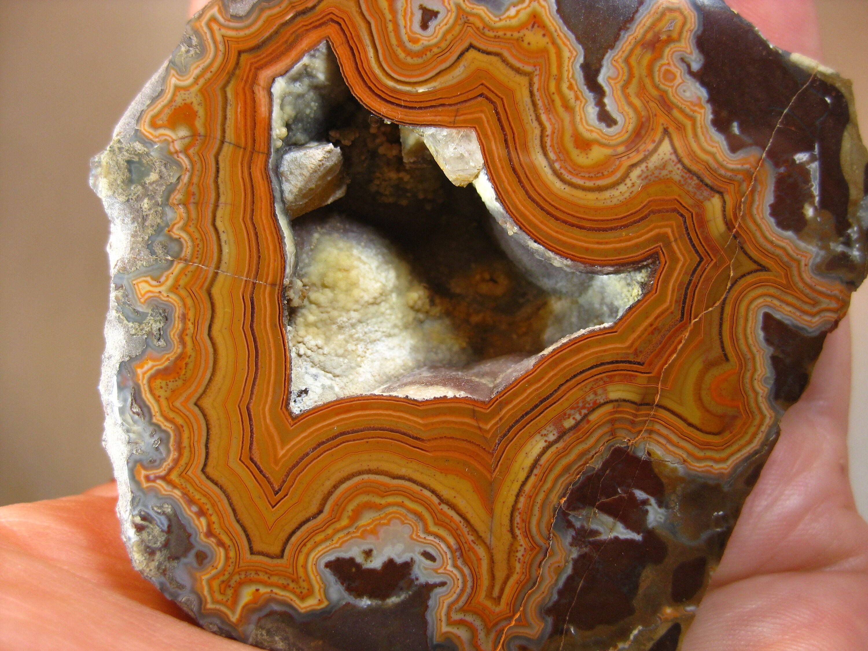 Montana Dryhead Agate Polished Specimen-Amazing Fortification | Etsy