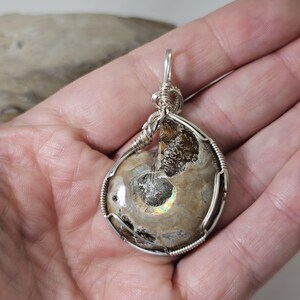 May include: A handcrafted pendant featuring a polished ammonite fossil encased in a silver wire wrap. The fossil displays a spiral pattern with iridescent highlights. The pendant is suspended from a silver bail.