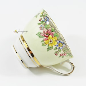 Colclough Pale Yellow Pink, Yellow, Blue Floral Brown Dotted English Bone China Orphan Replacement Teacup