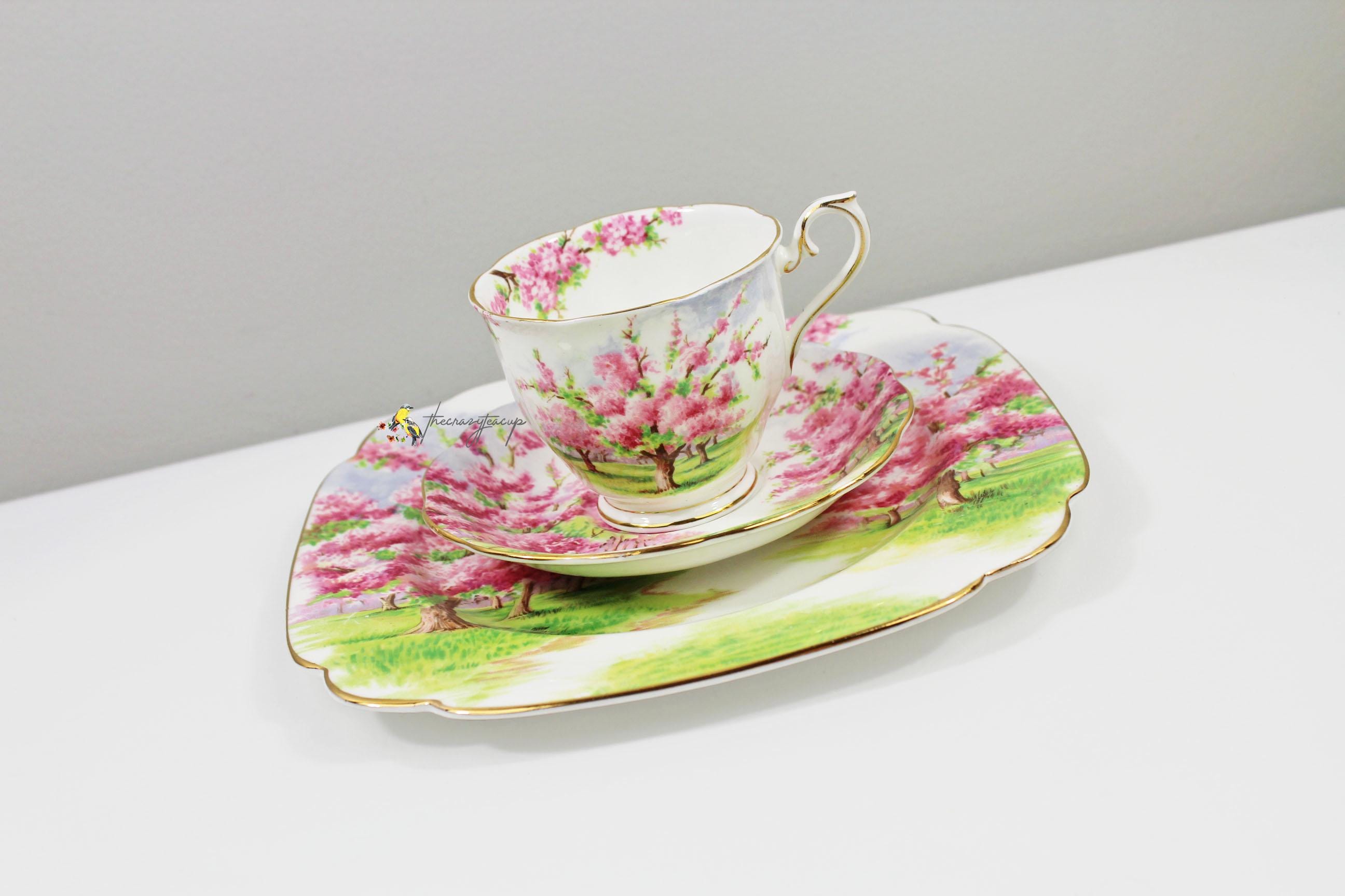 Royal albert blossom time - Etsy 日本