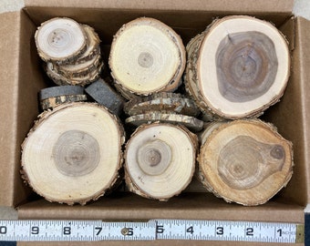 60 Small Wood Slices - Rustic - Diameter 2"- 4", Thickness  ~ 1/4"