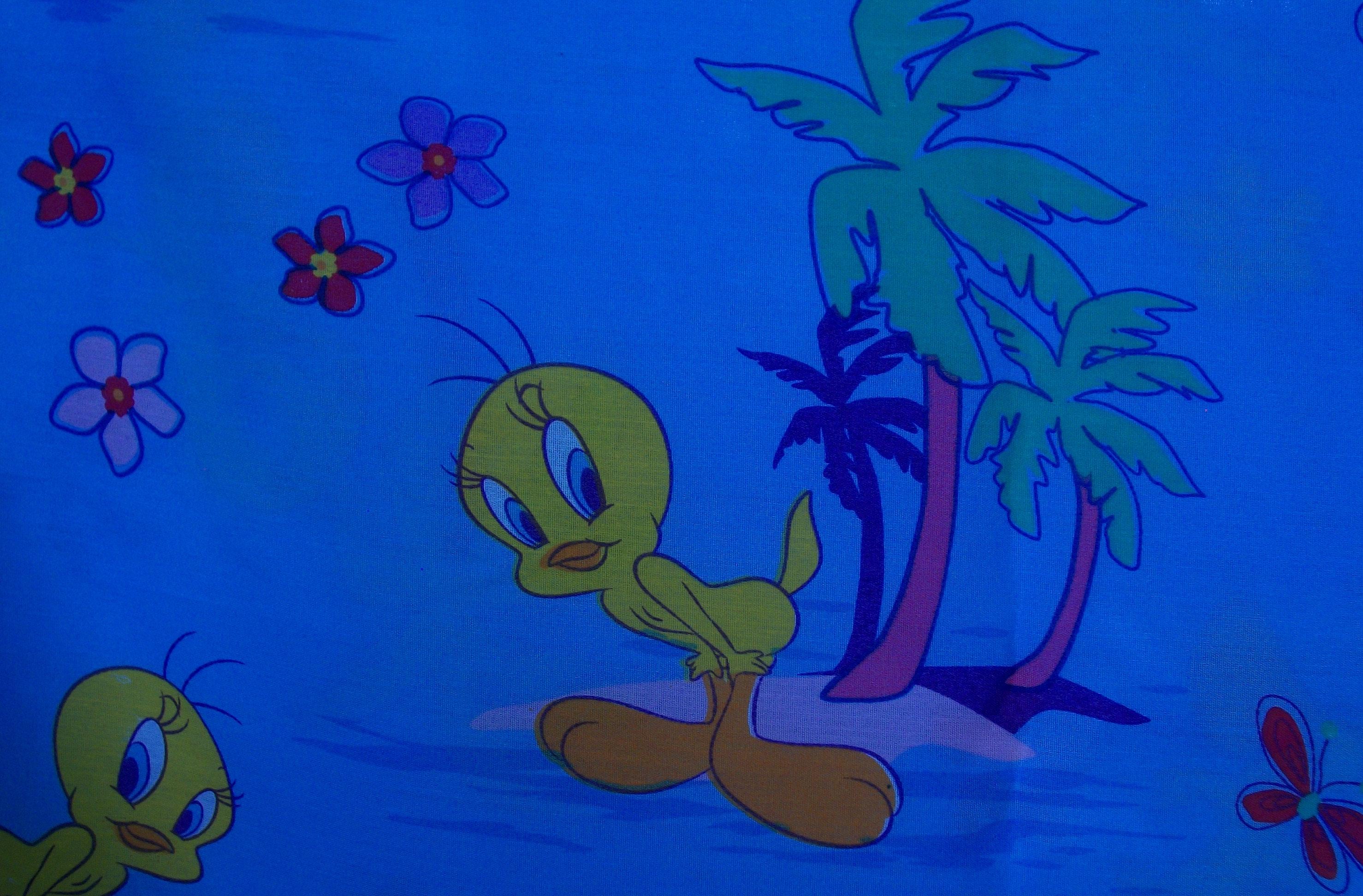 Drap Plat Vintage Tweety & Sylvester + Tom Et Jerry – Bon état