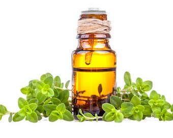 Marjoram Essential Oil | 100% Pure | 15ml | 30ml | 50ml | 100ml | 32oz