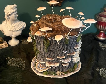 Tree Top Hat with Mushrooms