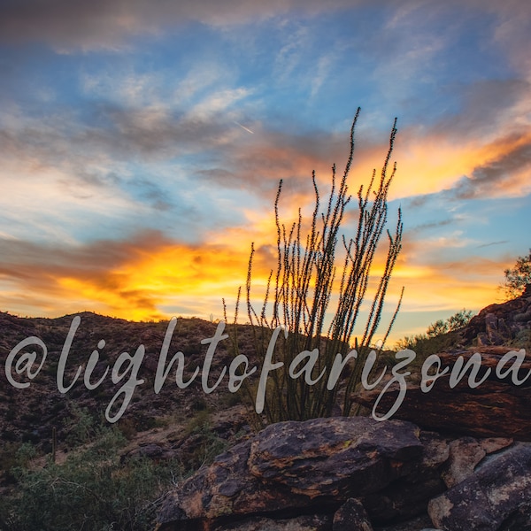 Ocotillo, South Mountain, Sunset, Hike, Sonoran desert, photography, Digital download