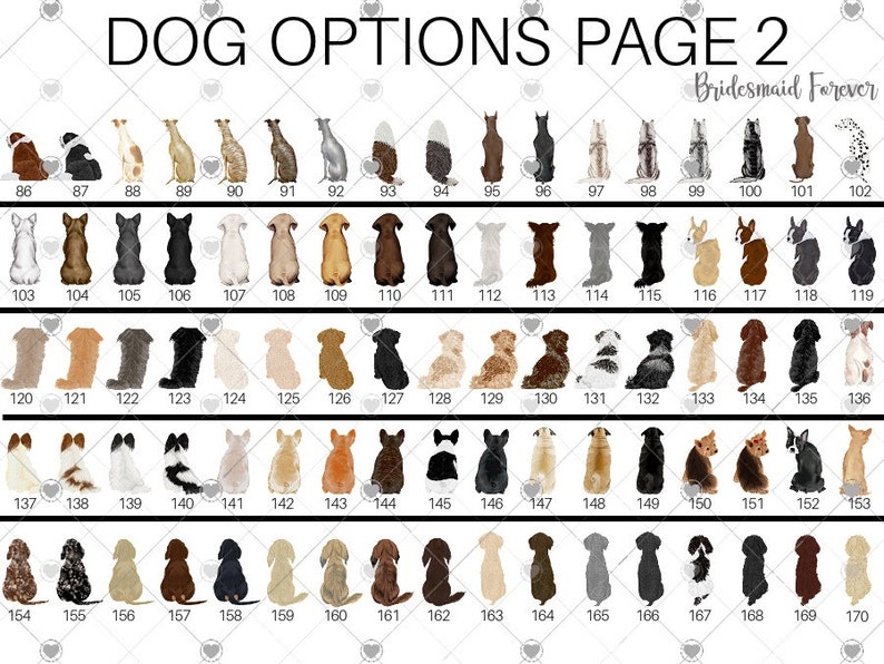 Pu&ograve; includere: Una pagina intitolata "DOG OPTIONS PAGE 2" con illustrazioni di varie razze di cani. L'immagine include una vasta gamma di razze canine, ciascuna numerata, che offre una selezione per la personalizzazione. Le illustrazioni sono in uno stile semplice e pulito.