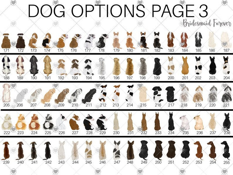 Pu&ograve; includere: Una pagina con illustrazioni di varie razze di cani, numerate da 171 a 255. Il testo "DOG OPTIONS PAGE 3" &egrave; in alto, con "Bridesmaid Forever" sotto. Le illustrazioni sono in uno stile semplice e a cartoni animati.