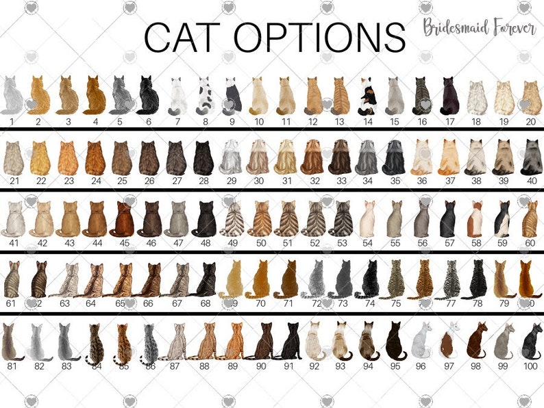 Pu&ograve; includere: Un'immagine con 100 illustrazioni di gatti, ognuna con un motivo e un colore del mantello unici, disposti in file. Il testo "CAT OPTIONS" &egrave; in alto, con "Bridesmaid Forever" sotto. I gatti variano dal nero pieno al tabby e al calic&ograve;.