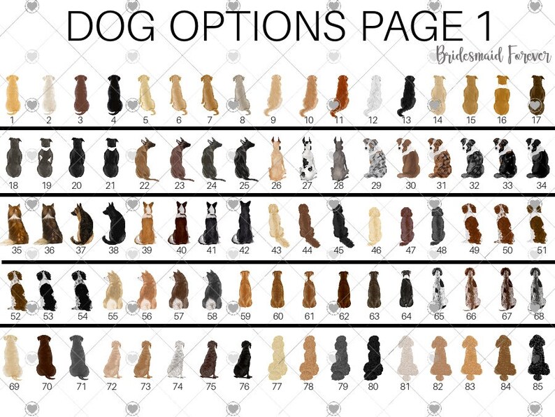 Pu&ograve; includere: Una pagina intitolata "DOG OPTIONS PAGE 1" con illustrazioni di varie razze di cani, ciascuna numerata. Le illustrazioni mostrano una vasta gamma di tipi di cani, da piccoli a grandi, in vari colori e segni. Il testo "Bridesmaid Forever" &egrave; anche presente.