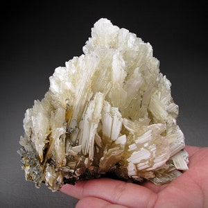 Selenite Crystals, Naica, Mexico