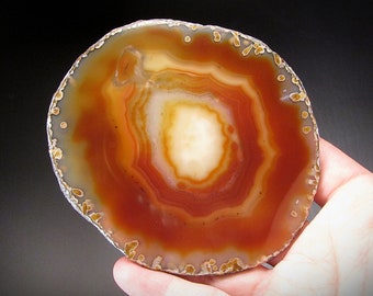 Agate Slice, Rio Grande do Sul, Brazil