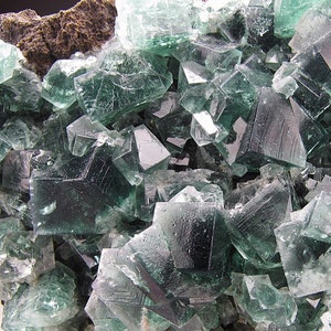 Fluorite Crystals, Rogerley Mine, England