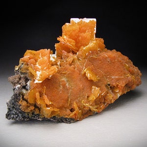 Wulfenite and Mimetite Crystals on Matrix, San Francisco Mine, Mexico