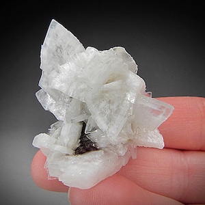 Minerva No 1 Mine - Etsy