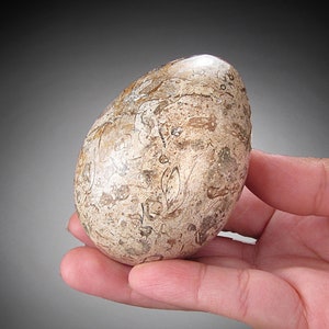 May include: A smooth, oval-shaped stone with a light brown and white marbled pattern. The stone has a natural, organic texture.