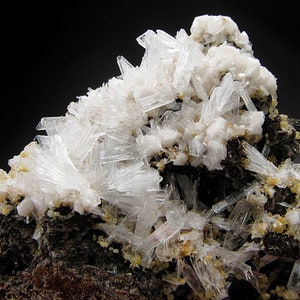 Puede incluir: Un grupo de cristales de stilbita blancos en forma de aguja sobre una matriz gris oscuro. Los cristales son translúcidos y tienen un brillo vítreo.