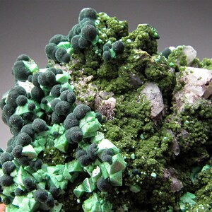 CuproAdamite with Rosasite and Duftite Tsumeb Mine (Tsumcorp) Namibia