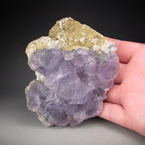 Fluorite Crystals, Chihuahua, Mexico