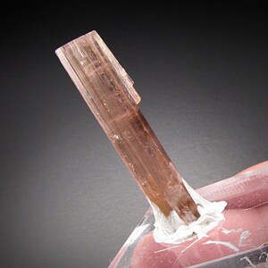 Elbaite Tourmaline Crystal, Himalaya Mine, California