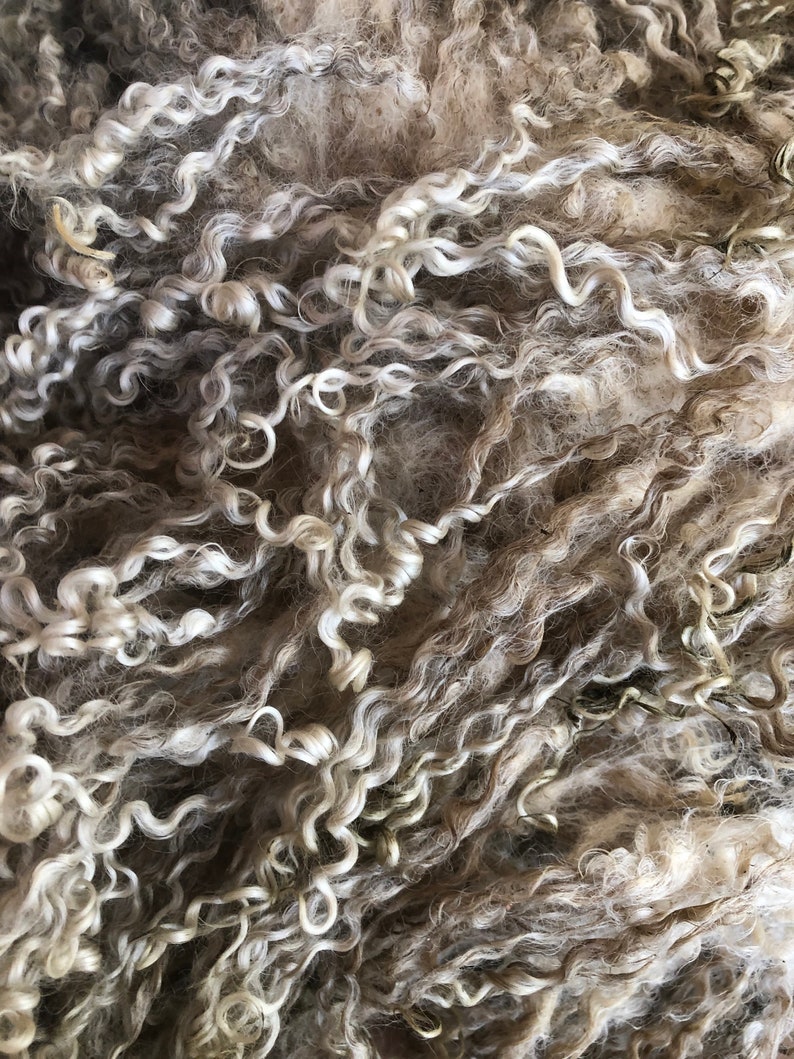 TEESWATER FLEECE 7 locks Raw fleece stunning white Etsy