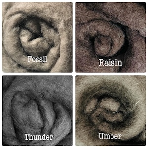 May include: A four-panel grid showing coiled wool roving in four distinct colors. The top left is labeled Fossil, a light taupe. The top right is labeled Raisin, a dark brown. The bottom left is labeled Thunder, a dark charcoal. The bottom right is labeled Umber, a warm brown.
