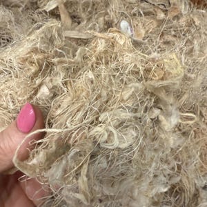 May include: Close-up of a pile of natural, beige-colored fibers. The fibers appear to be loosely woven and have a textured, organic appearance. The fibers are a mix of light and dark beige tones, creating a natural, earthy aesthetic.