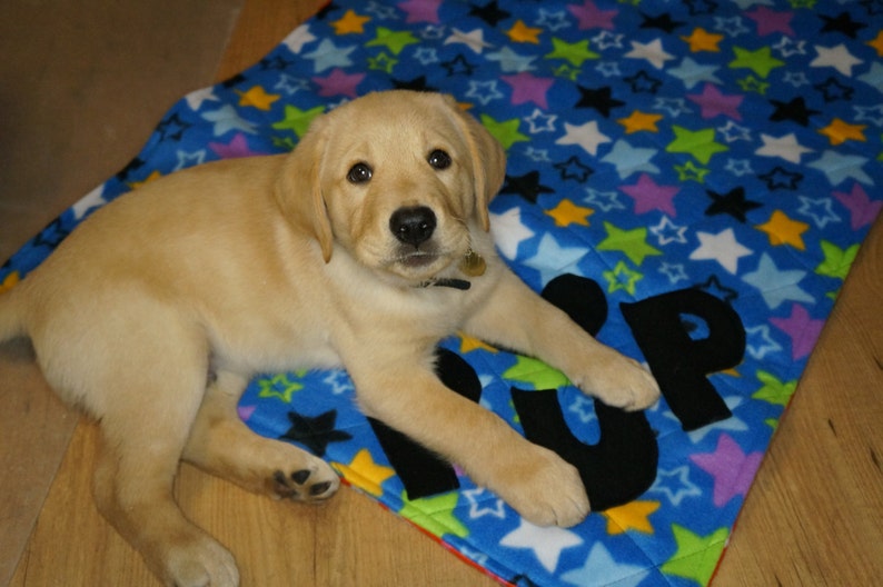 DIY Dog Travel Mat PDF Instructions