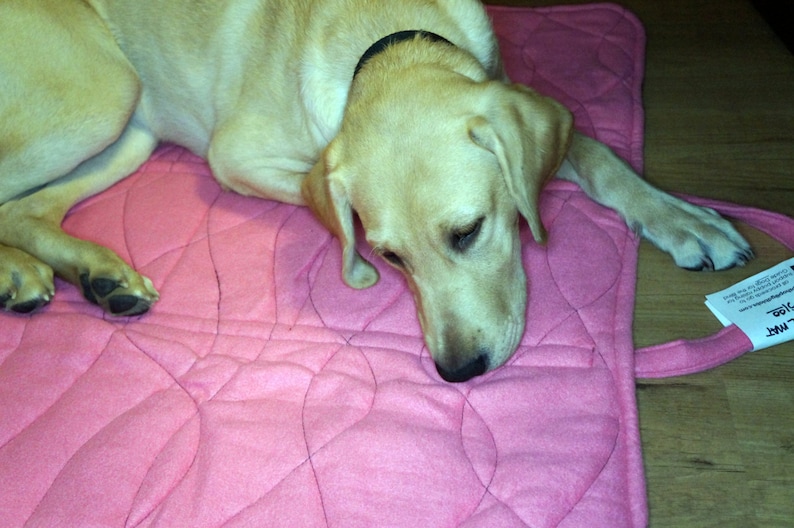 DIY Dog Travel Mat PDF Instructions