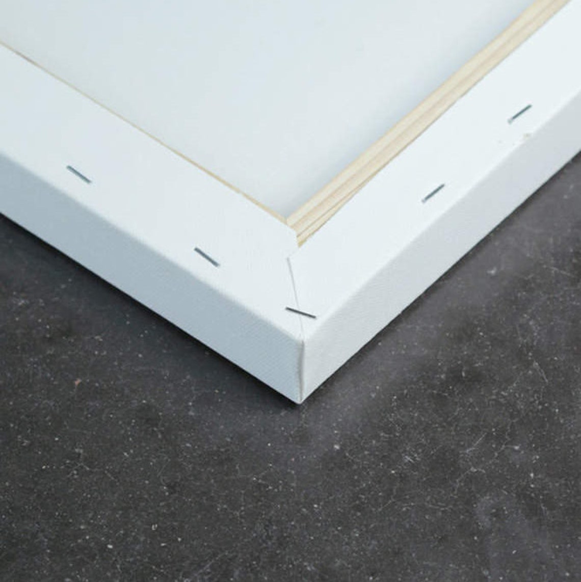 Skull Canvas Print Black and White Skull Canvas Art Print Etsy