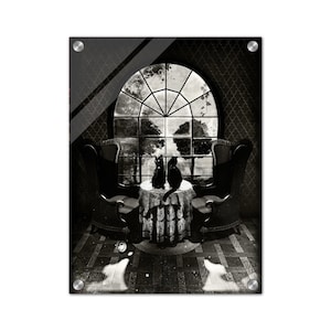 Black Cat Acrylic Print: Gothic Skull Illusion Art by Ali Gulec
