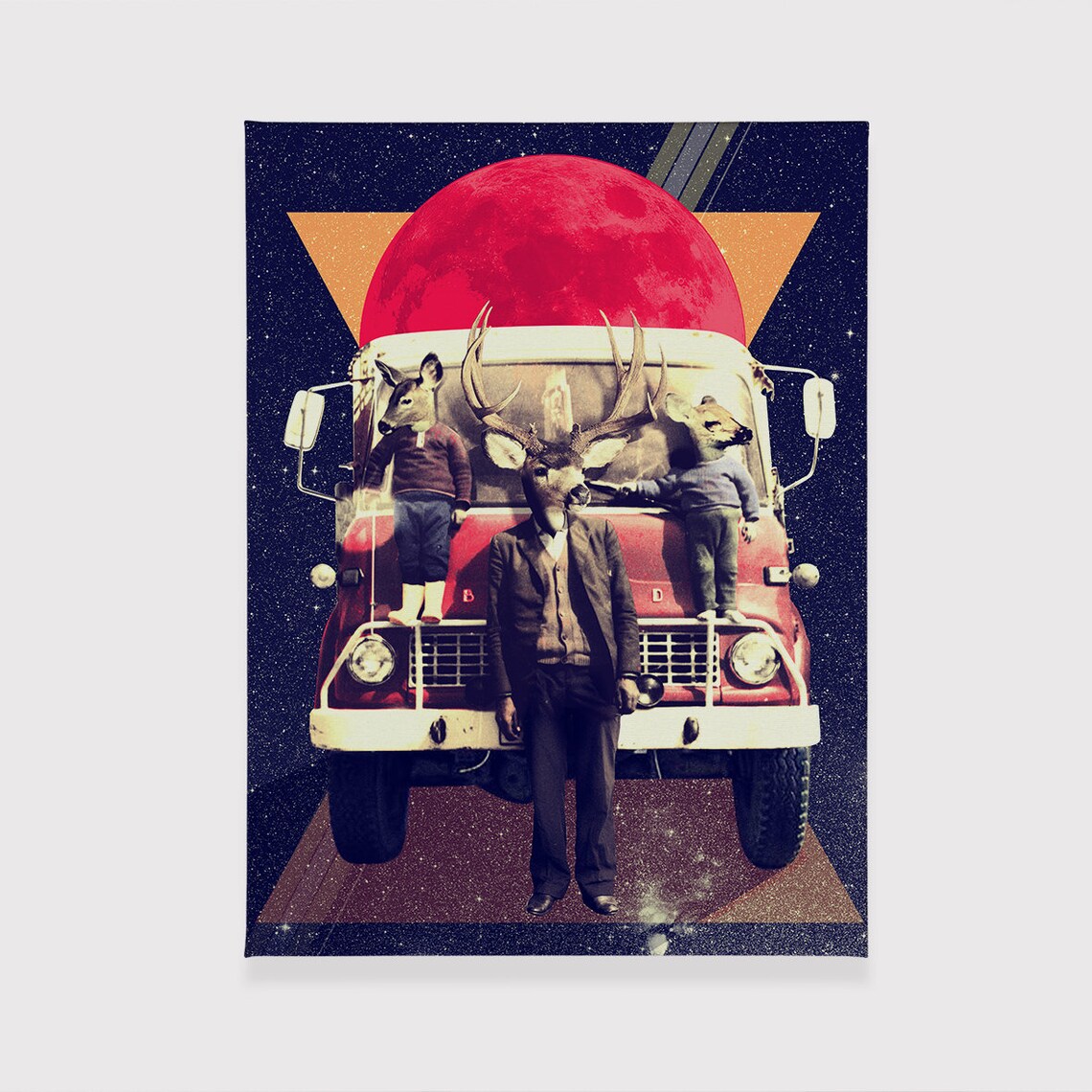 Animals Set of 3 Canvas Wall Art Funny Animals Canvas Wall Etsy